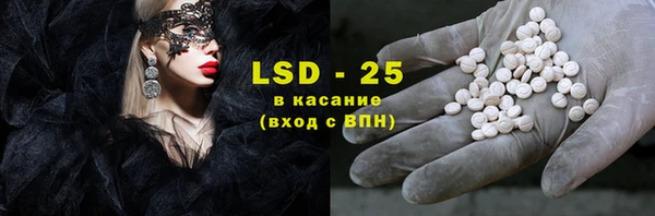 индика Алзамай