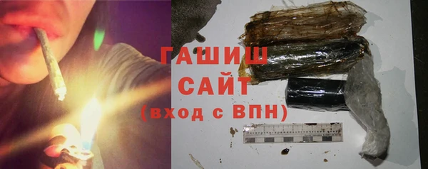 индика Алзамай