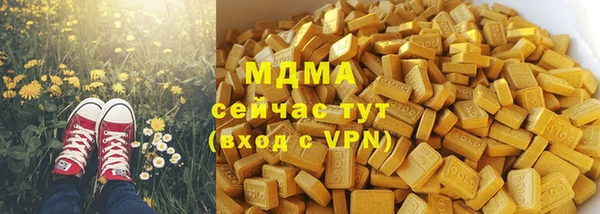 индика Алзамай